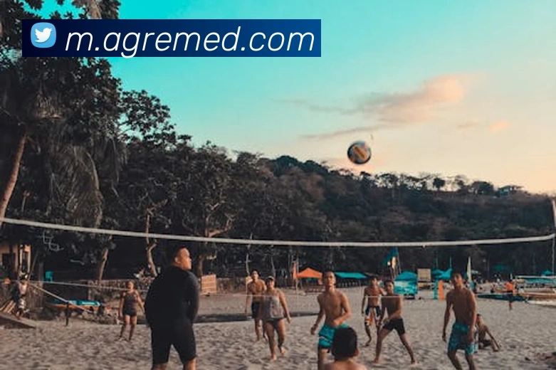 App Interface Preview