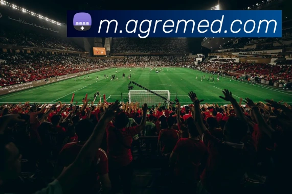 ag官网APP 封面图